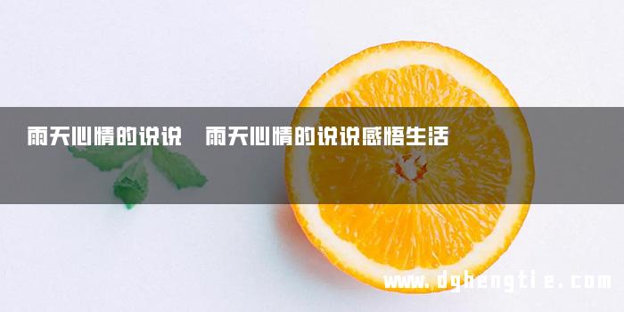 雨天心情的说说 雨天心情的说说感悟生活